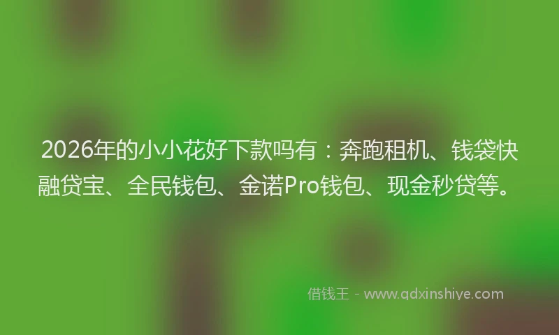 2026年的小小花好下款吗有：奔跑租机、钱袋快融贷宝、全民钱包、金诺Pro钱包、现金秒贷等。