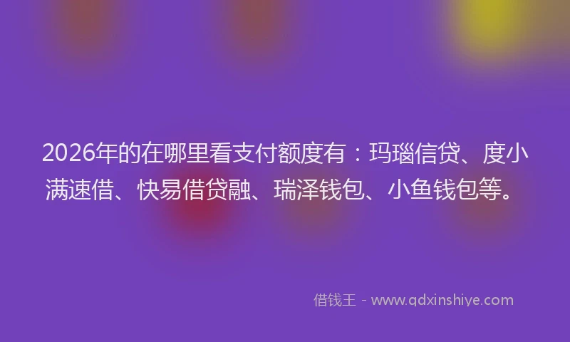 2026年的在哪里看支付额度有：玛瑙信贷、度小满速借、快易借贷融、瑞泽钱包、小鱼钱包等。