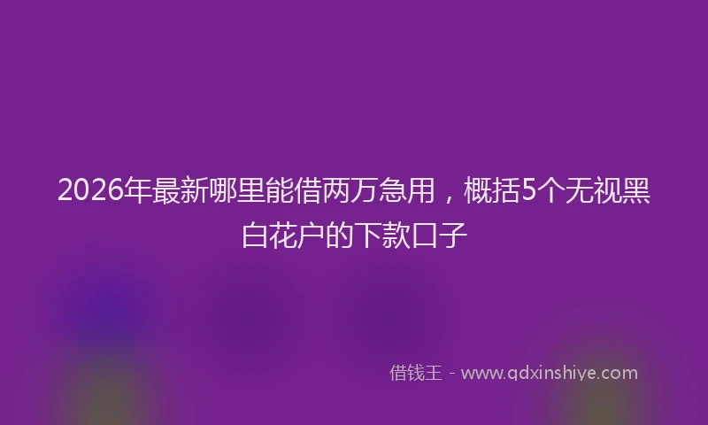 2026年最新哪里能借两万急用,概括5个无视黑白花户的下款口子