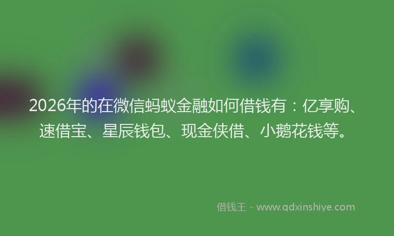 2026年的在微信蚂蚁金融如何借钱有：亿享购、速借宝、星辰钱包、现金侠借、小鹅花钱等。
