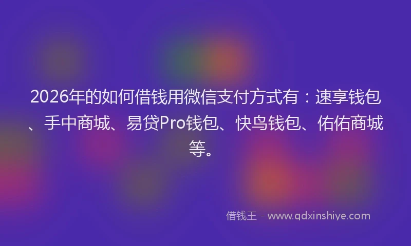 2026年的如何借钱用微信支付方式有：速享钱包、手中商城、易贷Pro钱包、快鸟钱包、佑佑商城等。