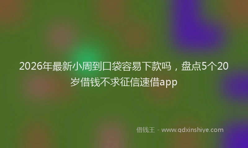 2026年最新小周到口袋容易下款吗，盘点5个20岁借钱不求征信速借app