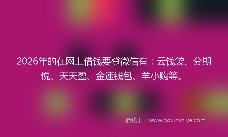 2026年的在网上借钱要登微信有:云钱袋、分期悦、天天盈、金速钱包、羊小购等。