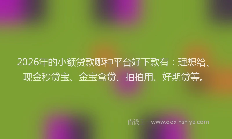 2026年的小额贷款哪种平台好下款有：理想给、现金秒贷宝、金宝盒贷、拍拍用、好期贷等。