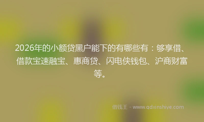2026年的小额贷黑户能下的有哪些有：够享借、借款宝速融宝、惠商贷、闪电侠钱包、沪商财富等。