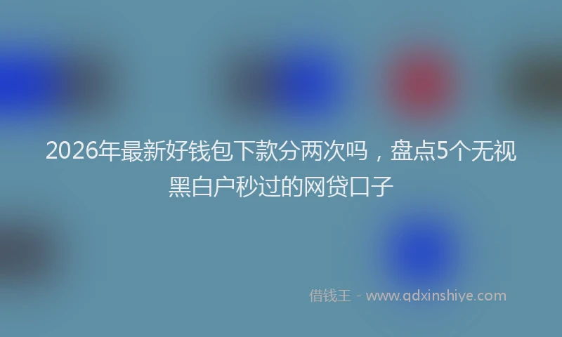 2026年最新好钱包下款分两次吗，盘点5个无视黑白户秒过的网贷口子