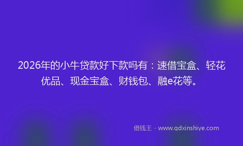2026年的小牛贷款好下款吗有：速借宝盒、轻花优品、现金宝盒、财钱包、融e花等。