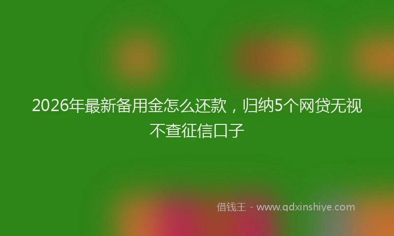 2026年最新备用金怎么还款，归纳5个网贷无视不查征信口子