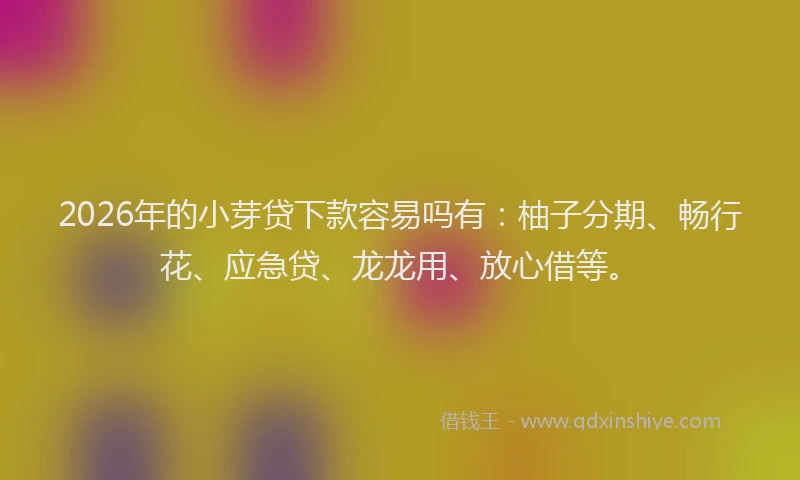 2026年的小芽贷下款容易吗有：柚子分期、畅行花、应急贷、龙龙用、放心借等。