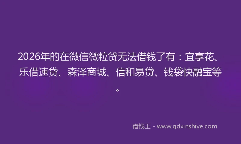 2026年的在微信微粒贷无法借钱了有:宜享花、乐借速贷、森泽商城、信和易贷、钱袋快融宝等。