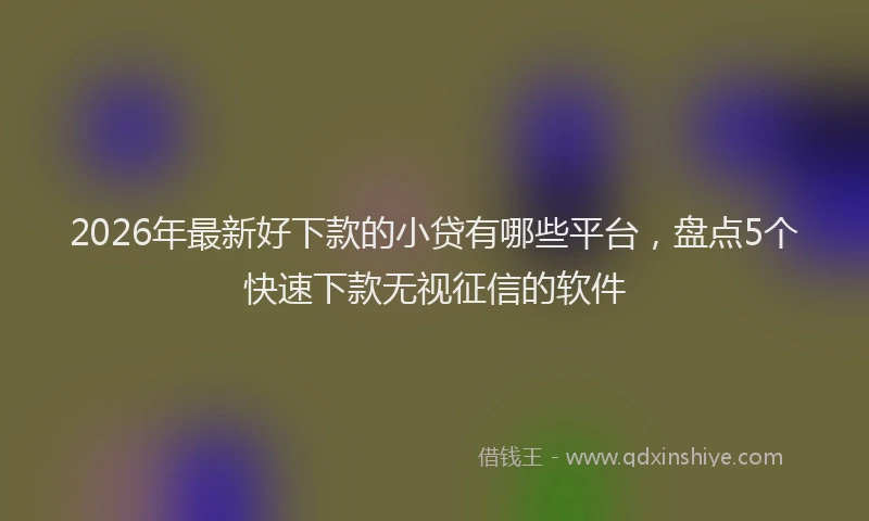 2026年最新好下款的小贷有哪些平台，盘点5个快速下款无视征信的软件