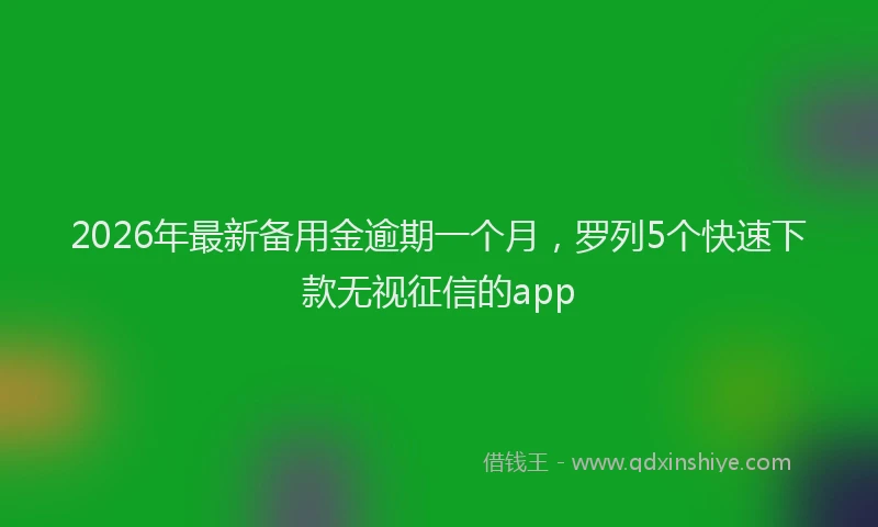 2026年最新备用金逾期一个月，罗列5个快速下款无视征信的app