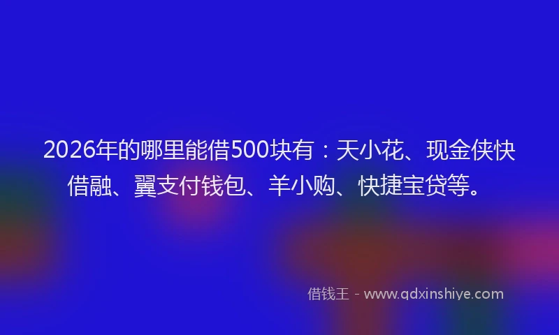 2026年的哪里能借500块有:天小花、现金侠快借融、翼支付钱包、羊小购、快捷宝贷等。