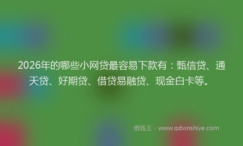 2026年的哪些小网贷最容易下款有:甄信贷、通天贷、好期贷、借贷易融贷、现金白卡等。