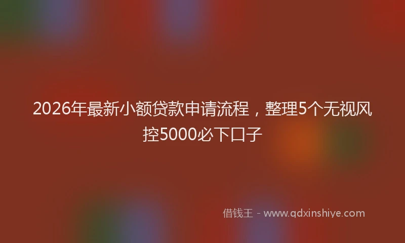 2026年最新小额贷款申请流程，整理5个无视风控5000必下口子