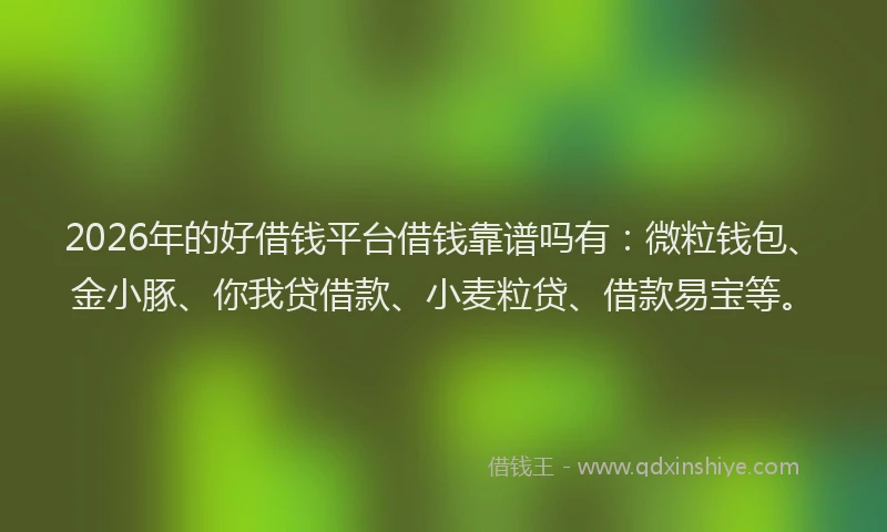 2026年的好借钱平台借钱靠谱吗有：微粒钱包、金小豚、你我贷借款、小麦粒贷、借款易宝等。