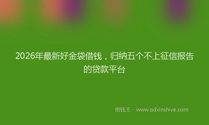 2026年最新好金袋借钱，归纳五个不上征信报告的贷款平台