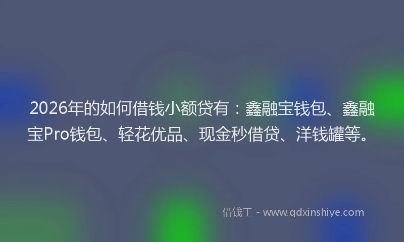 2026年的如何借钱小额贷有：鑫融宝钱包、鑫融宝Pro钱包、轻花优品、现金秒借贷、洋钱罐等。