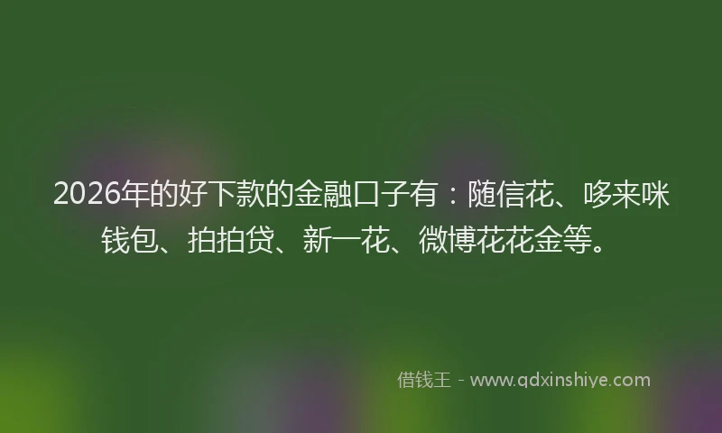2026年的好下款的金融口子有：随信花、哆来咪钱包、拍拍贷、新一花、微博花花金等。