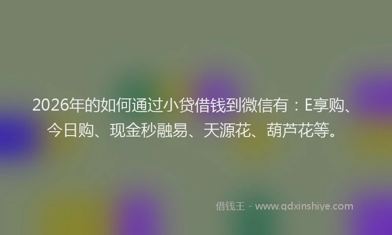 2026年的如何通过小贷借钱到微信有：E享购、今日购、现金秒融易、天源花、葫芦花等。