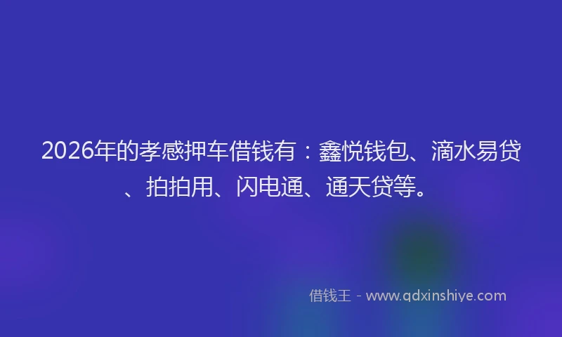 2026年的孝感押车借钱有：鑫悦钱包、滴水易贷、拍拍用、闪电通、通天贷等。