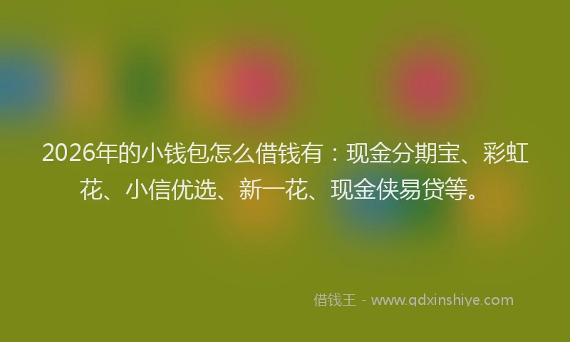 2026年的小钱包怎么借钱有：现金分期宝、彩虹花、小信优选、新一花、现金侠易贷等。