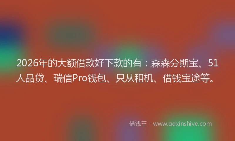 2026年的大额借款好下款的有：森森分期宝、51人品贷、瑞信Pro钱包、只从租机、借钱宝途等。