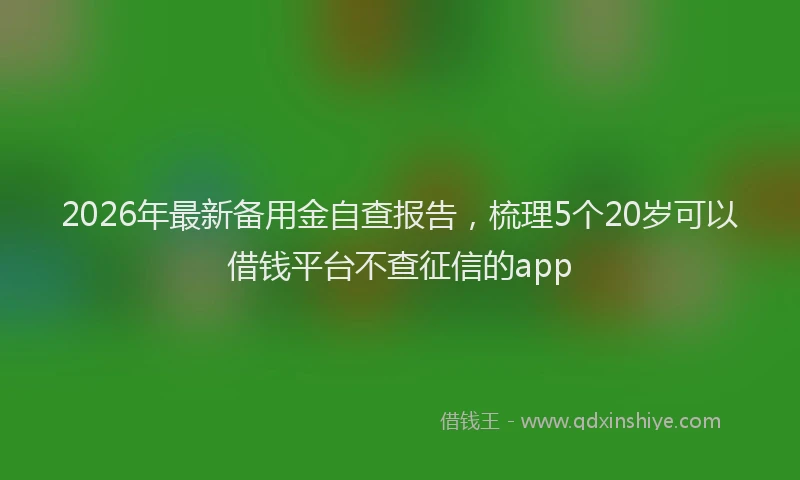 2026年最新备用金自查报告,梳理5个20岁可以借钱平台不查征信的app