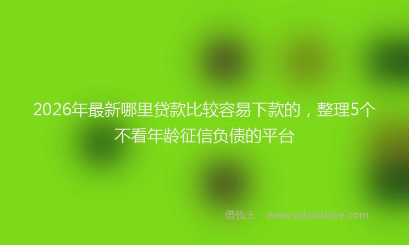 2026年最新哪里贷款比较容易下款的,整理5个不看年龄征信负债的平台