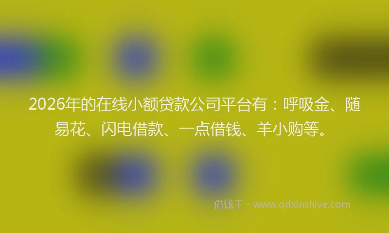 2026年的在线小额贷款公司平台有:呼吸金、随易花、闪电借款、一点借钱、羊小购等。