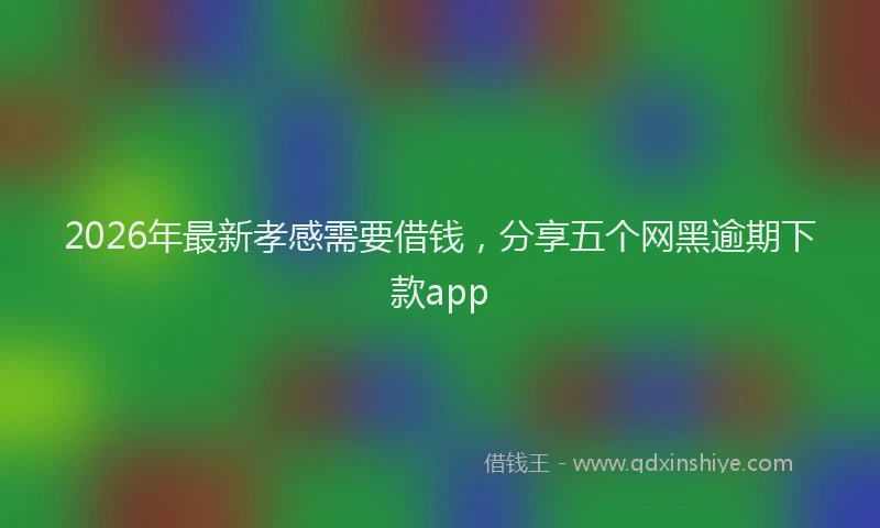 2026年最新孝感需要借钱，分享五个网黑逾期下款app