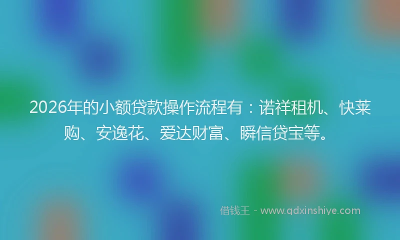 2026年的小额贷款操作流程有：诺祥租机、快莱购、安逸花、爱达财富、瞬信贷宝等。