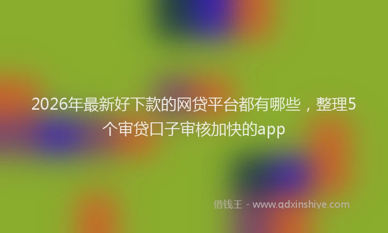 2026年最新好下款的网贷平台都有哪些，整理5个审贷口子审核加快的app