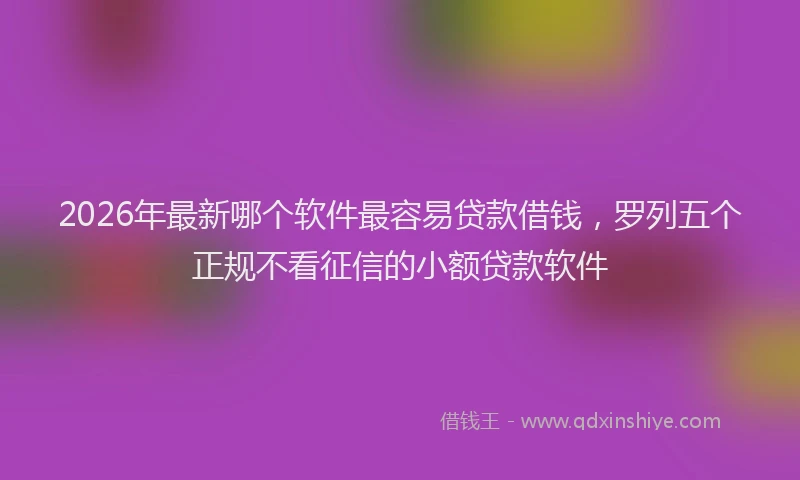 2026年最新哪个软件最容易贷款借钱,罗列五个正规不看征信的小额贷款软件