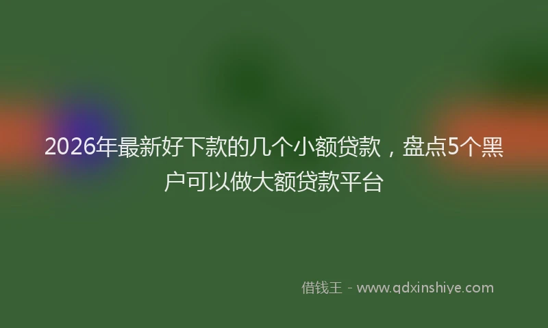 2026年最新好下款的几个小额贷款，盘点5个黑户可以做大额贷款平台