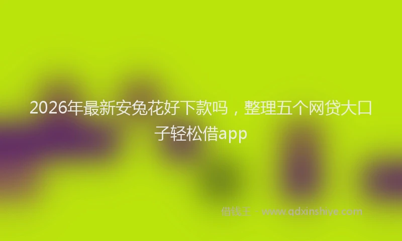 2026年最新安兔花好下款吗，整理五个网贷大口子轻松借app