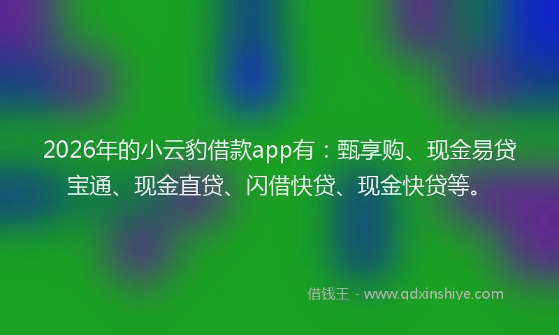 2026年的小云豹借款app有：甄享购、现金易贷宝通、现金直贷、闪借快贷、现金快贷等。