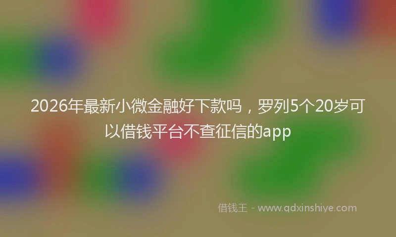 2026年最新小微金融好下款吗，罗列5个20岁可以借钱平台不查征信的app