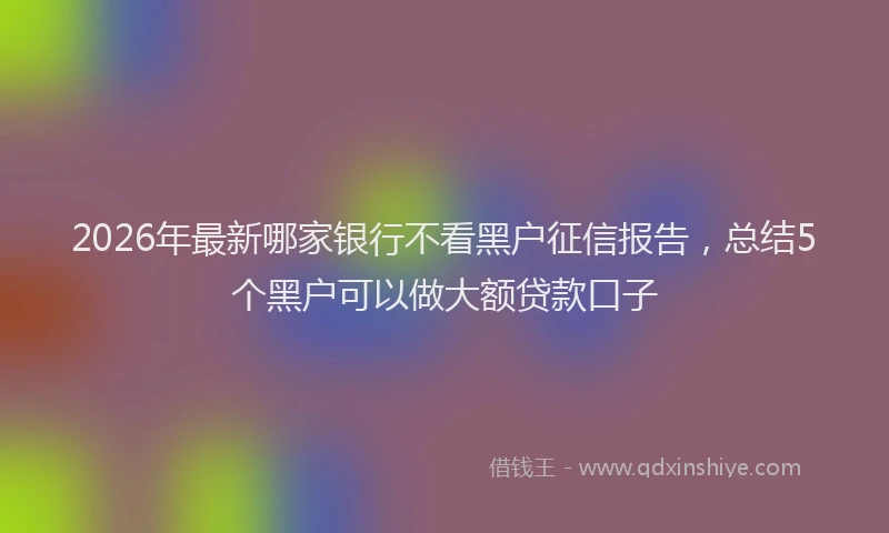 2026年最新哪家银行不看黑户征信报告,总结5个黑户可以做大额贷款口子