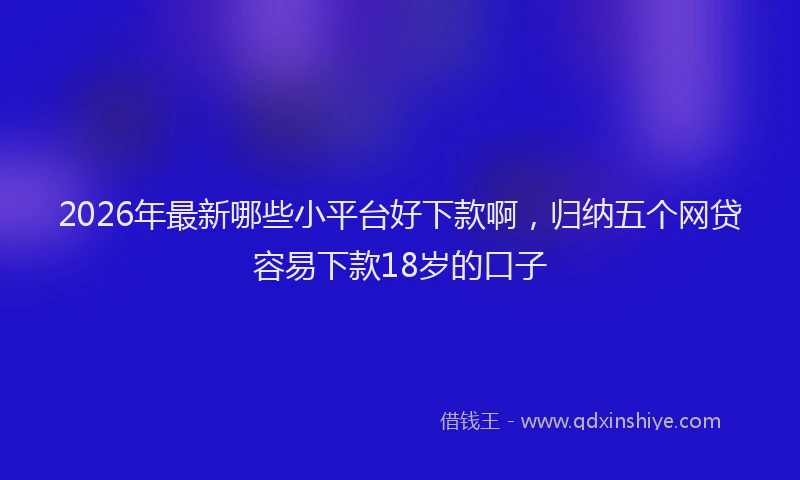 2026年最新哪些小平台好下款啊，归纳五个网贷容易下款18岁的口子