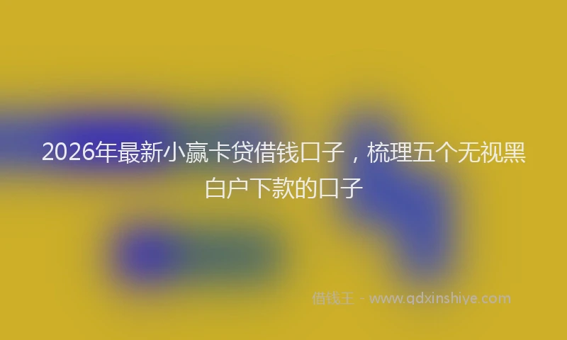 2026年最新小赢卡贷借钱口子，梳理五个无视黑白户下款的口子