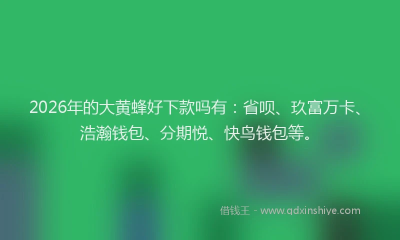 2026年的大黄蜂好下款吗有：省呗、玖富万卡、浩瀚钱包、分期悦、快鸟钱包等。