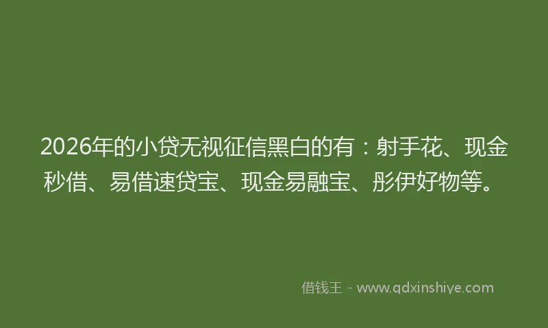 2026年的小贷无视征信黑白的有：射手花、现金秒借、易借速贷宝、现金易融宝、彤伊好物等。