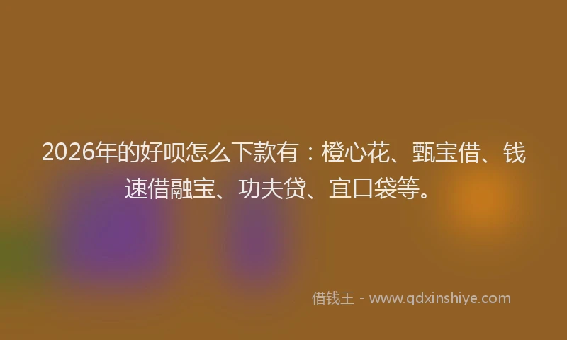 2026年的好呗怎么下款有：橙心花、甄宝借、钱速借融宝、功夫贷、宜口袋等。