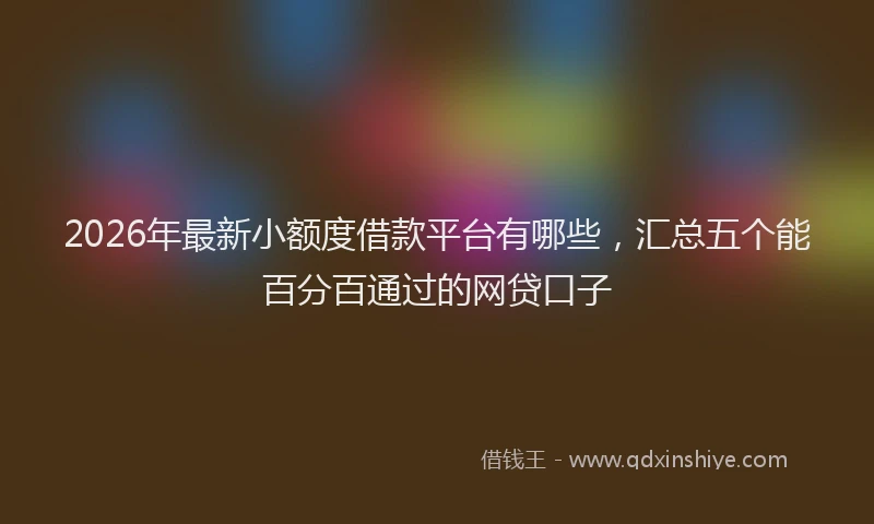 2026年最新小额度借款平台有哪些，汇总五个能百分百通过的网贷口子