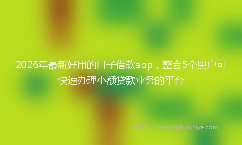 2026年最新好用的口子借款app，整合5个黑户可快速办理小额贷款业务的平台