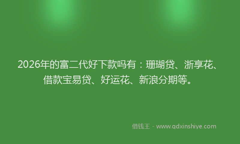 2026年的富二代好下款吗有：珊瑚贷、浙享花、借款宝易贷、好运花、新浪分期等。