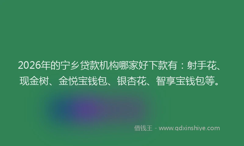 2026年的宁乡贷款机构哪家好下款有：射手花、现金树、金悦宝钱包、银杏花、智享宝钱包等。