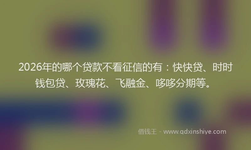 2026年的哪个贷款不看征信的有：快快贷、时时钱包贷、玫瑰花、飞融金、哆哆分期等。
