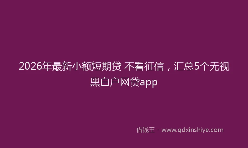 2026年最新小额短期贷 不看征信，汇总5个无视黑白户网贷app